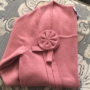 Ann Taylor Loft Sweater